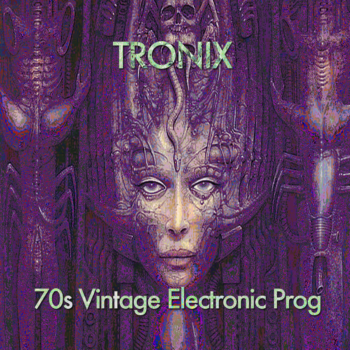 Vintage Electronic Prog