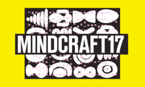 fluxic-events-mindcraft17-logo