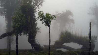 vss-site-201-costarica