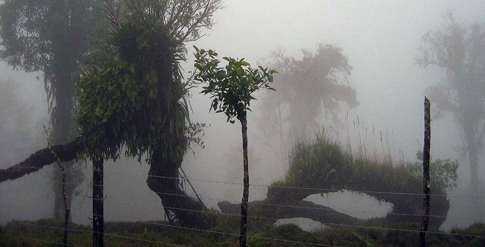 vss-site-201-costarica